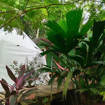 Glamping Naioth Apartamento Guápiles Exterior foto