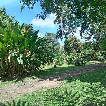Glamping Naioth Apartamento Guápiles Exterior foto