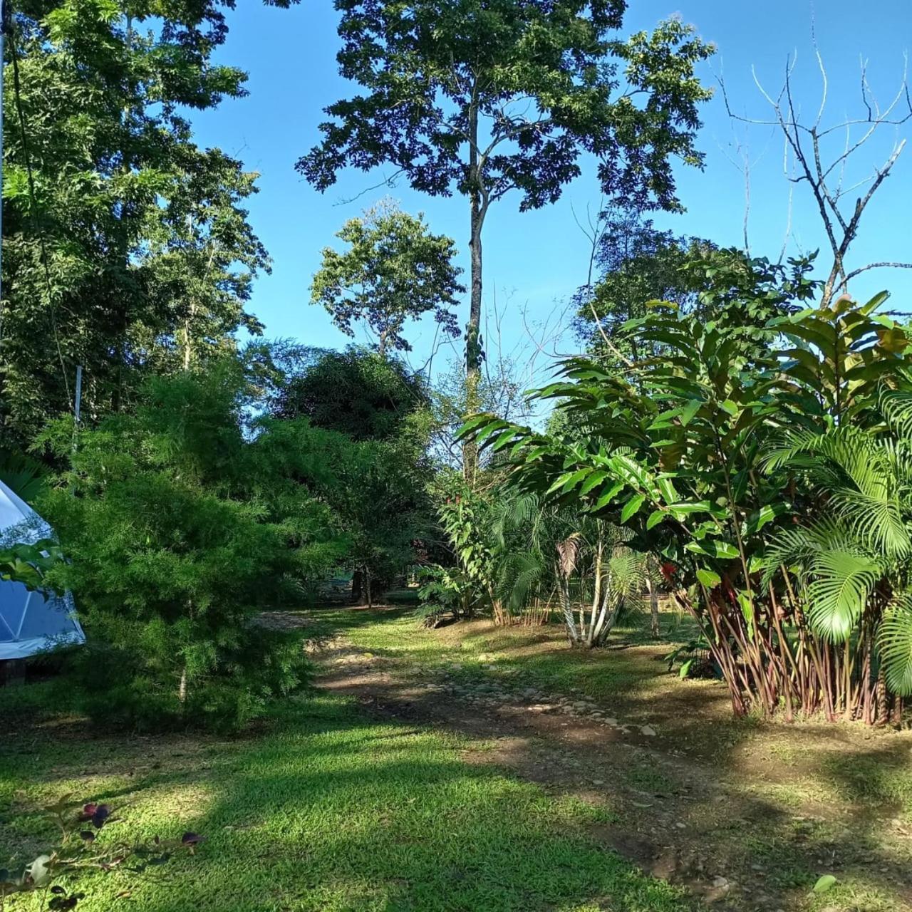 Glamping Naioth Apartamento Guápiles Exterior foto