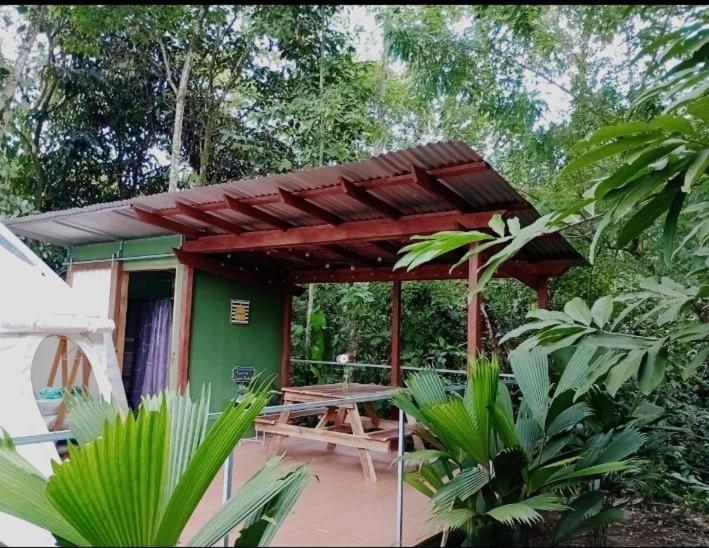 Glamping Naioth Apartamento Guápiles Exterior foto