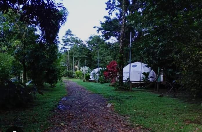 Glamping Naioth Apartamento Guápiles Exterior foto