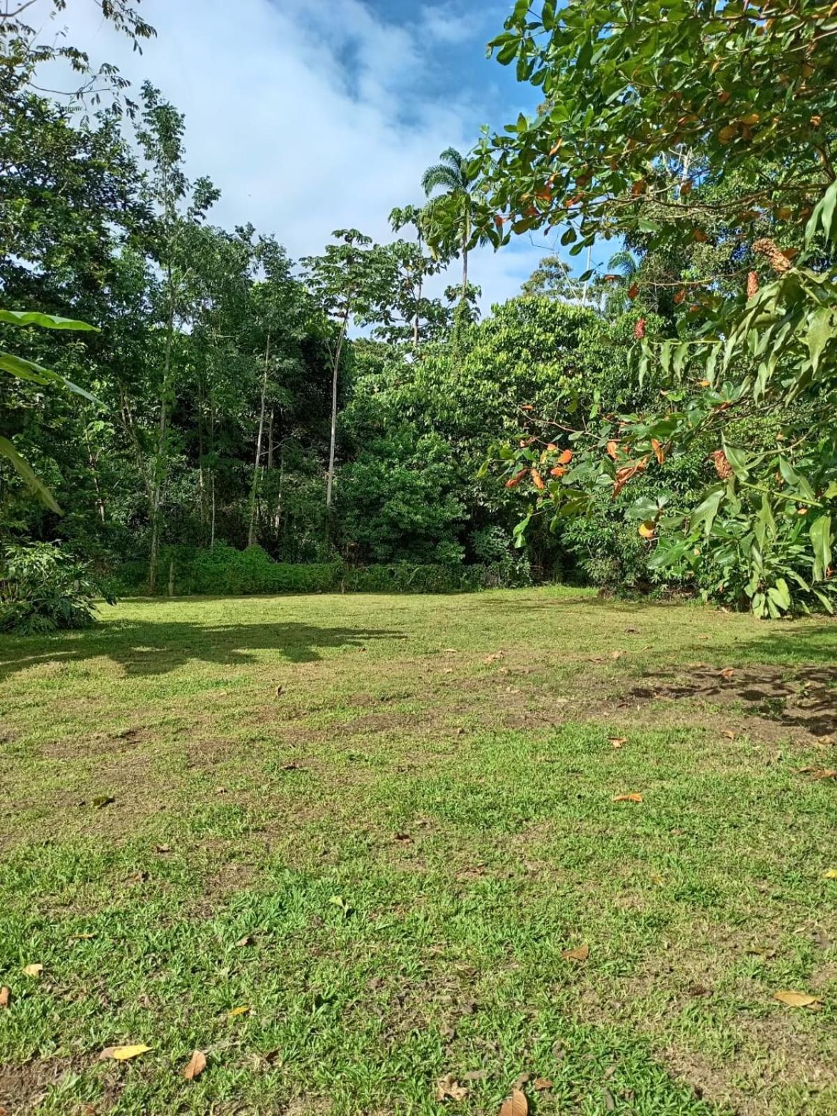 Glamping Naioth Apartamento Guápiles Exterior foto