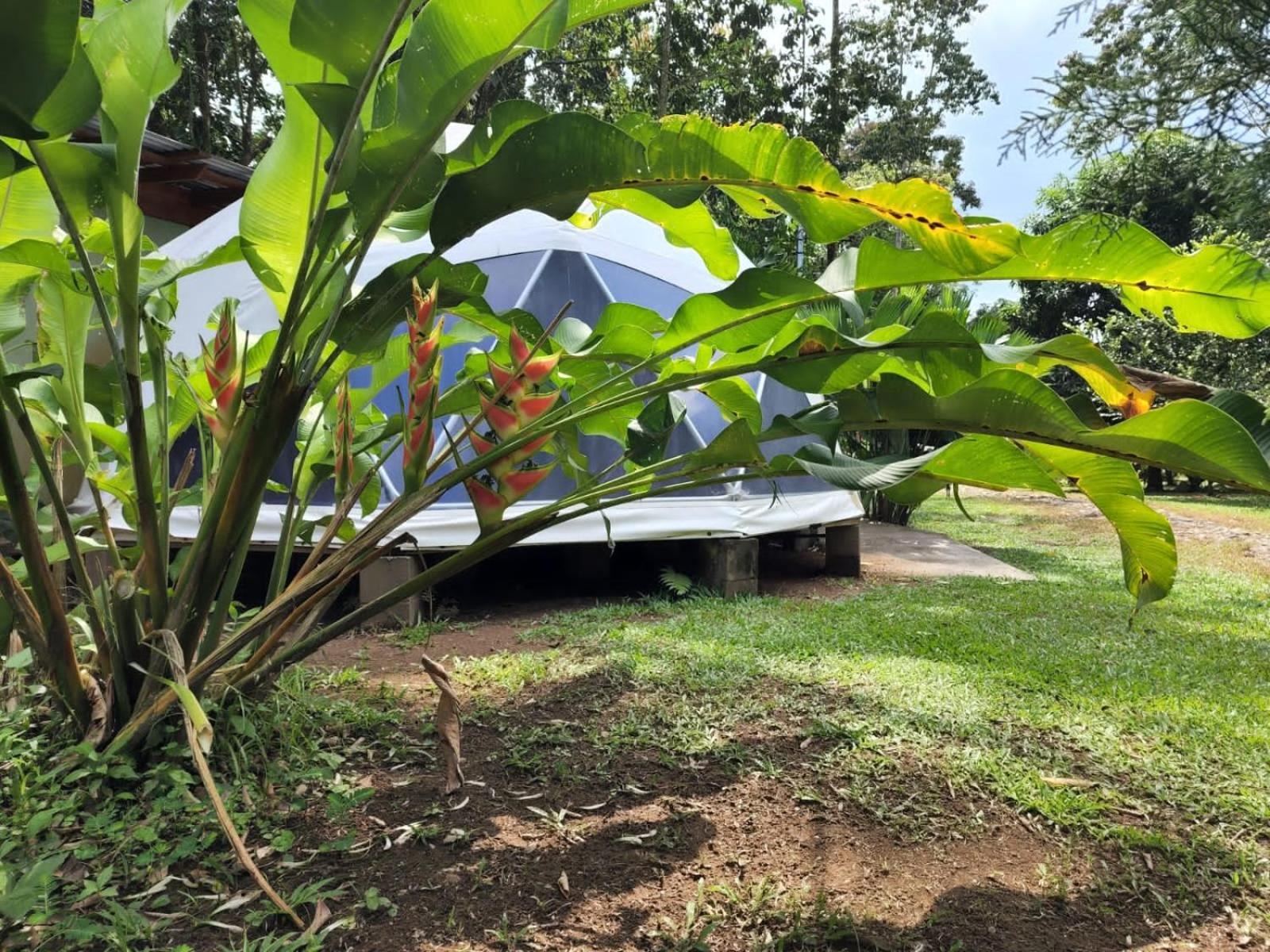 Glamping Naioth Apartamento Guápiles Exterior foto