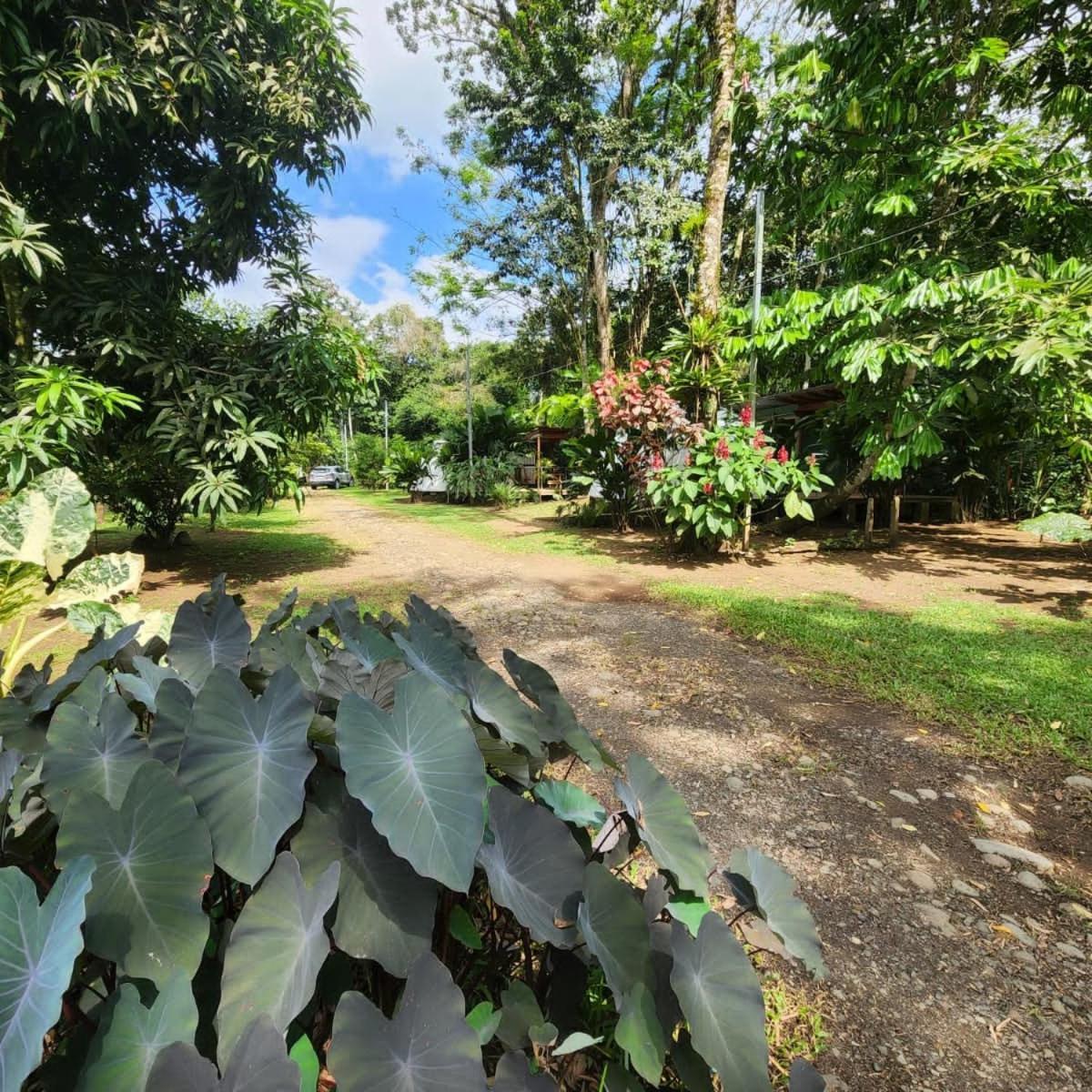 Glamping Naioth Apartamento Guápiles Exterior foto