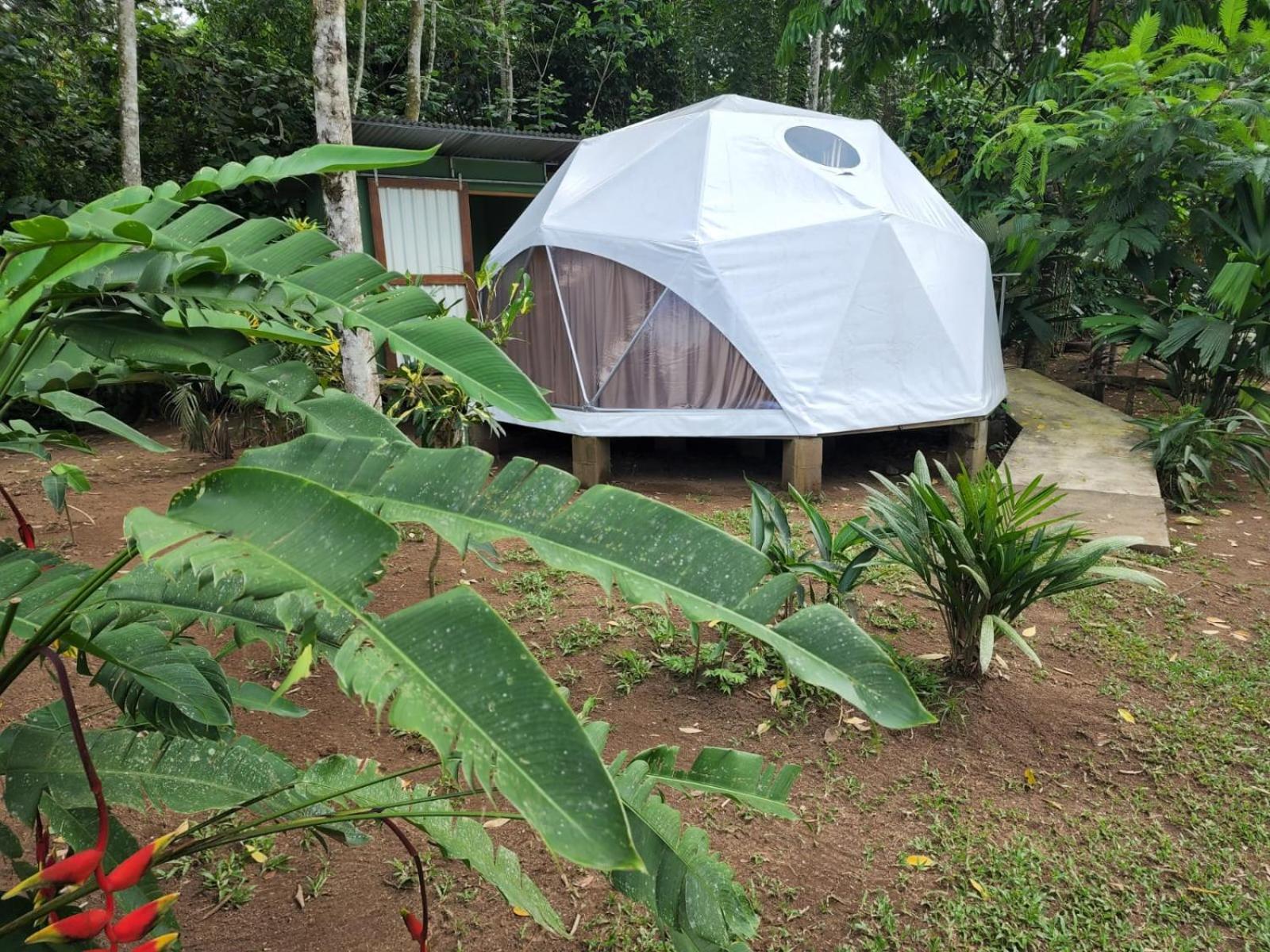 Glamping Naioth Apartamento Guápiles Exterior foto