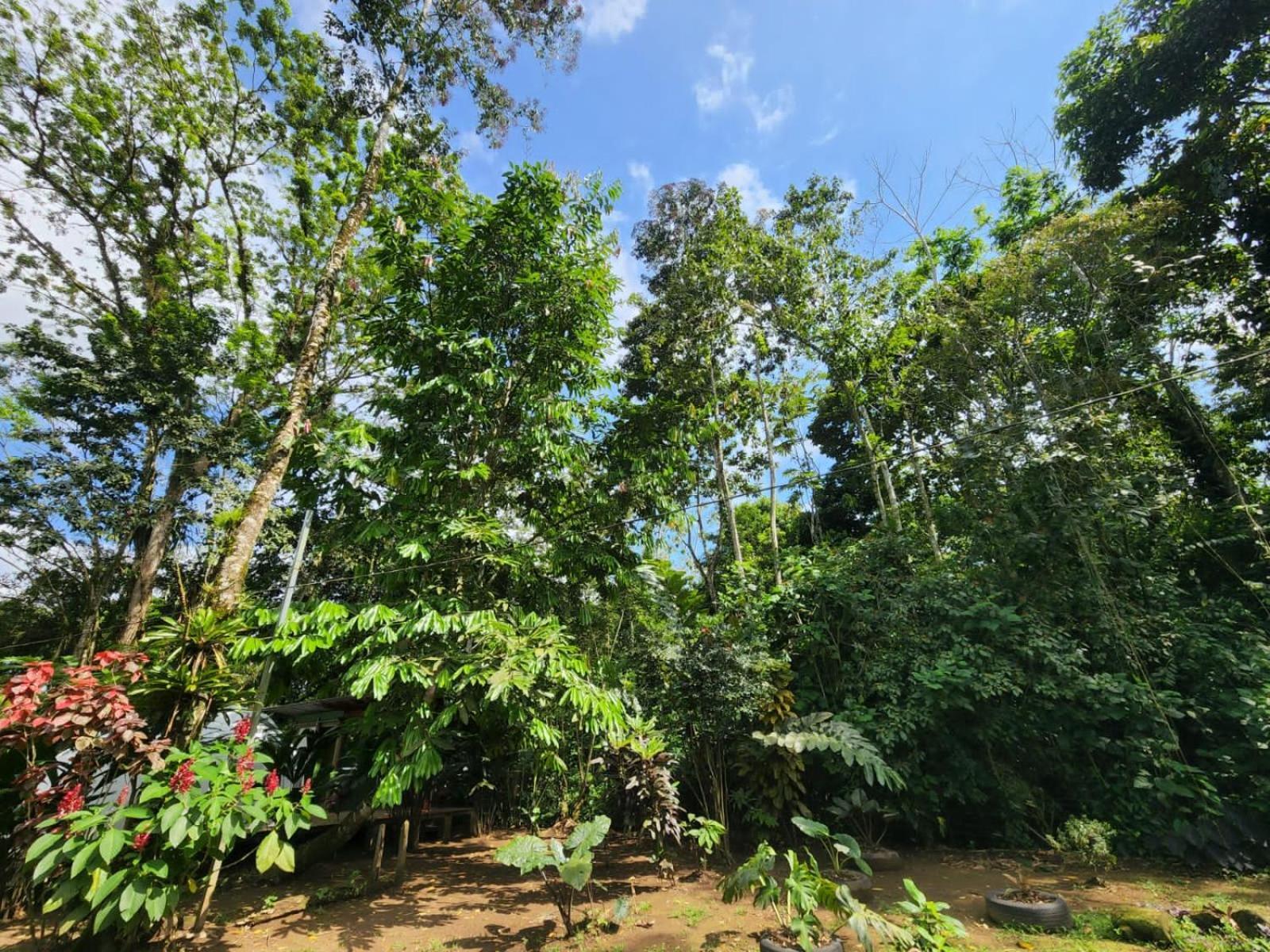 Glamping Naioth Apartamento Guápiles Exterior foto