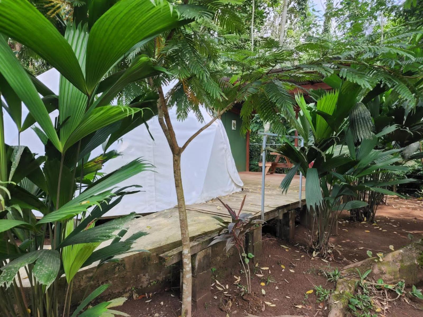 Glamping Naioth Apartamento Guápiles Exterior foto