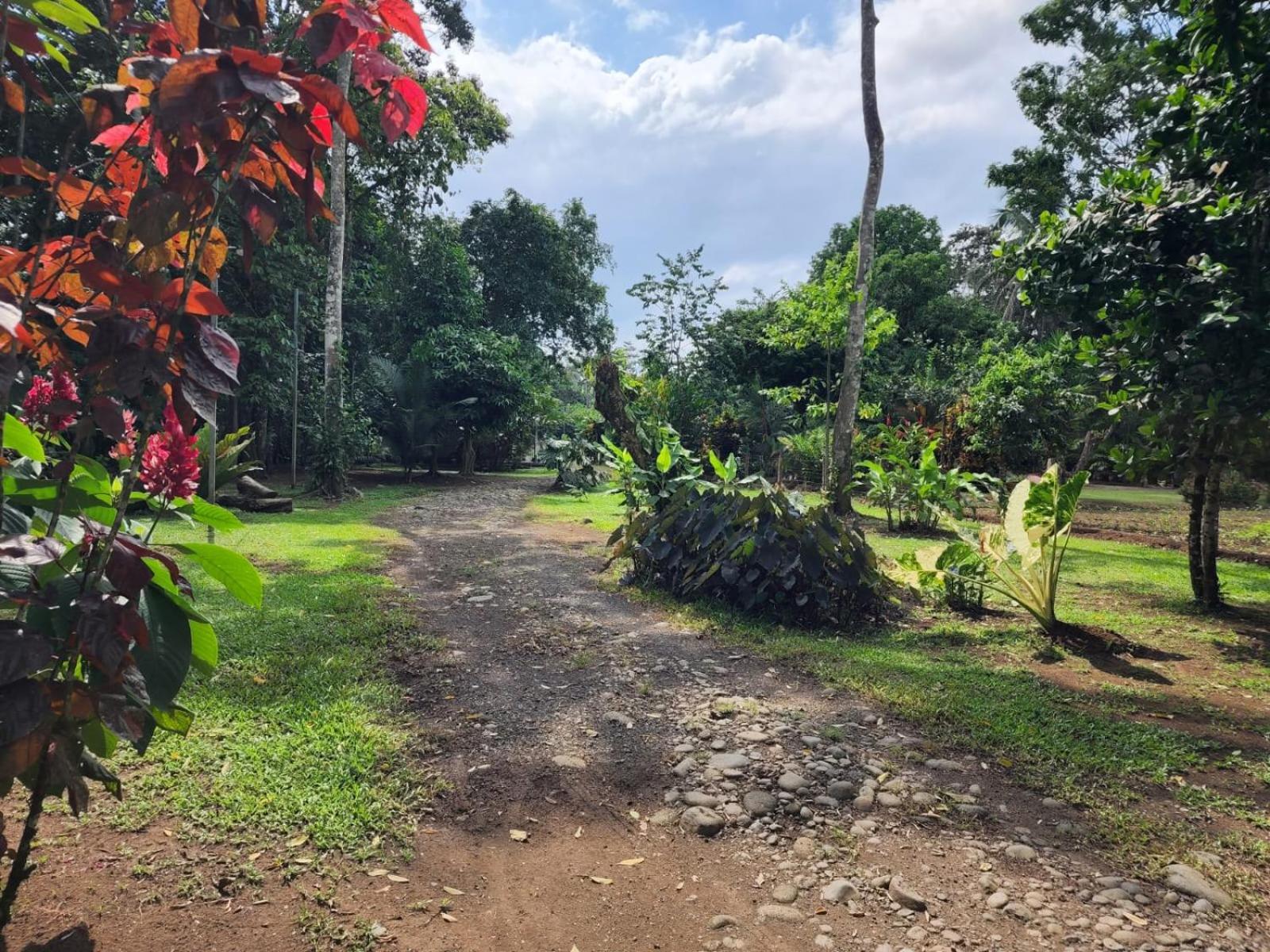 Glamping Naioth Apartamento Guápiles Exterior foto