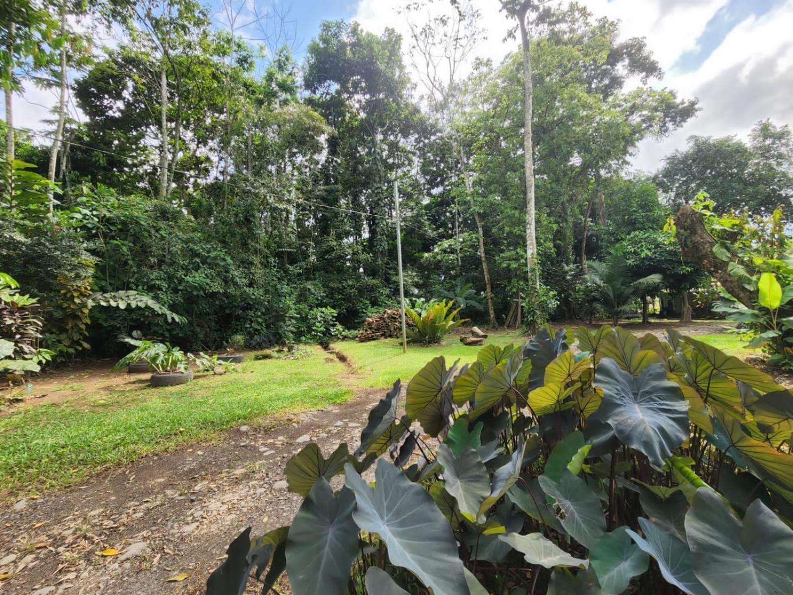 Glamping Naioth Apartamento Guápiles Exterior foto