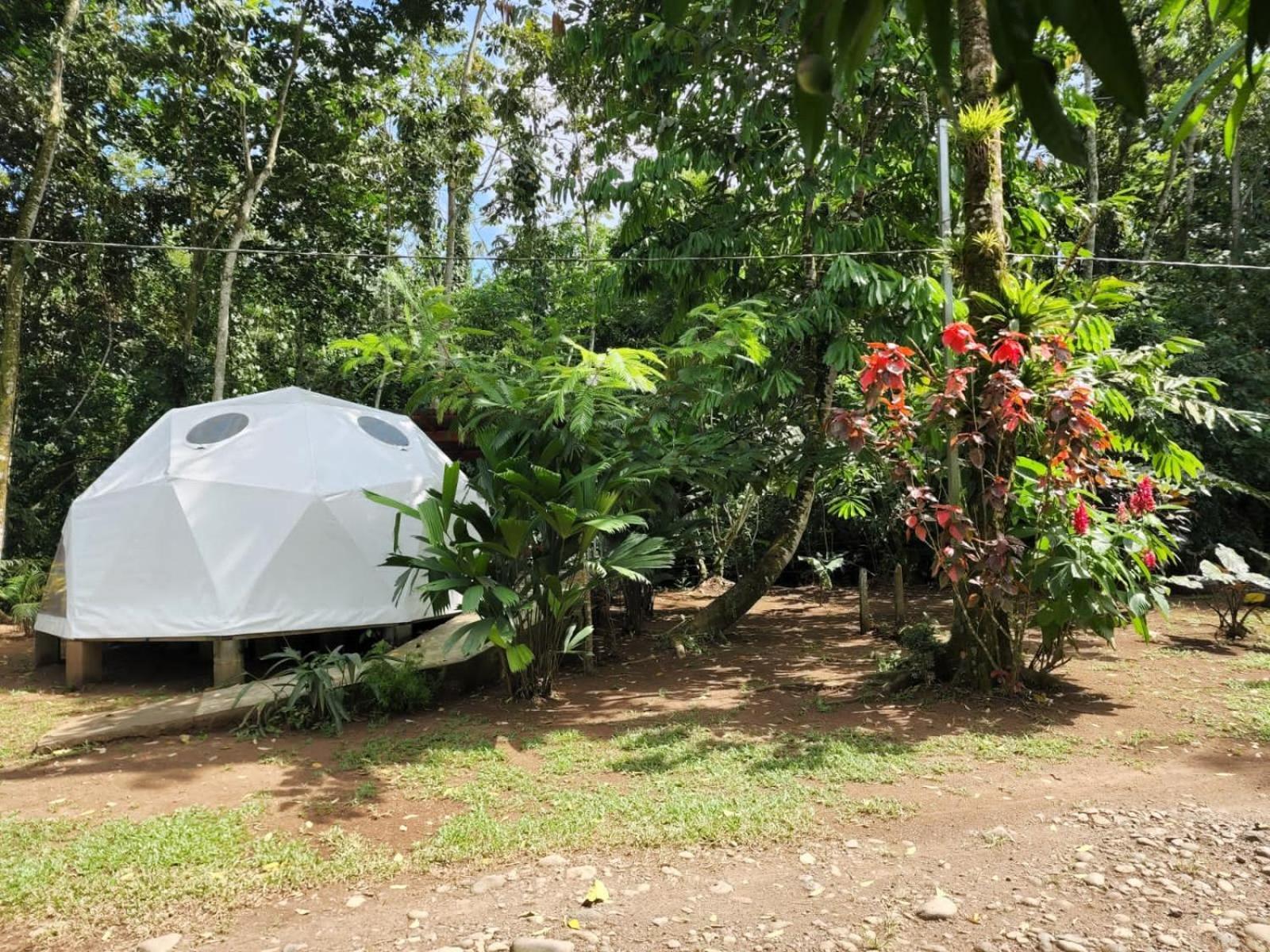 Glamping Naioth Apartamento Guápiles Exterior foto