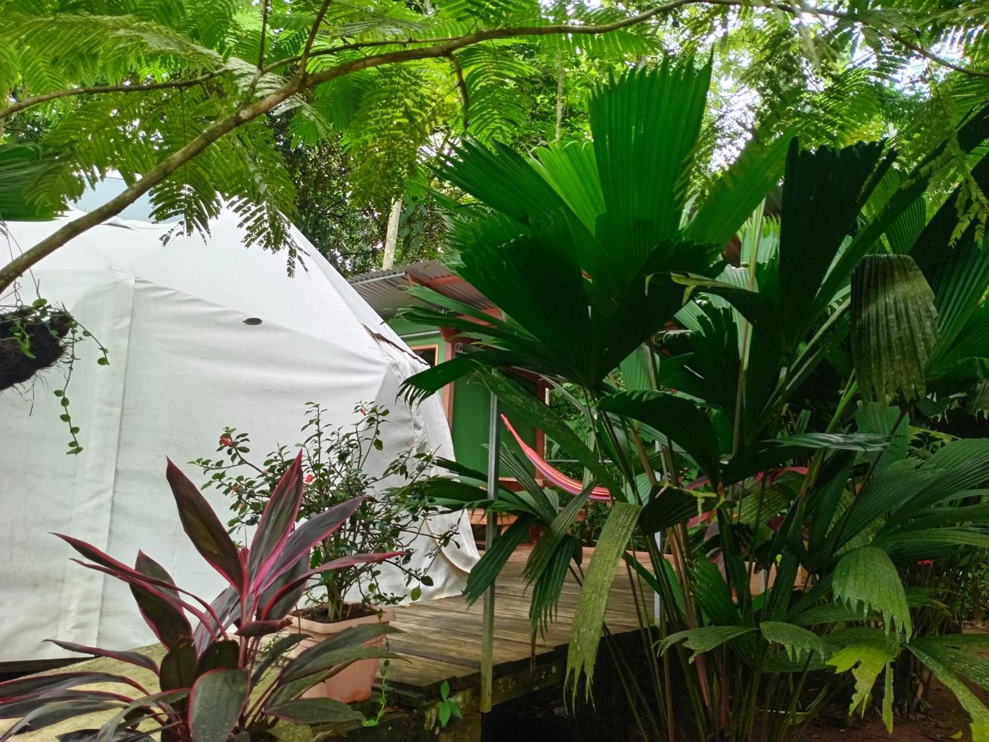 Glamping Naioth Apartamento Guápiles Exterior foto