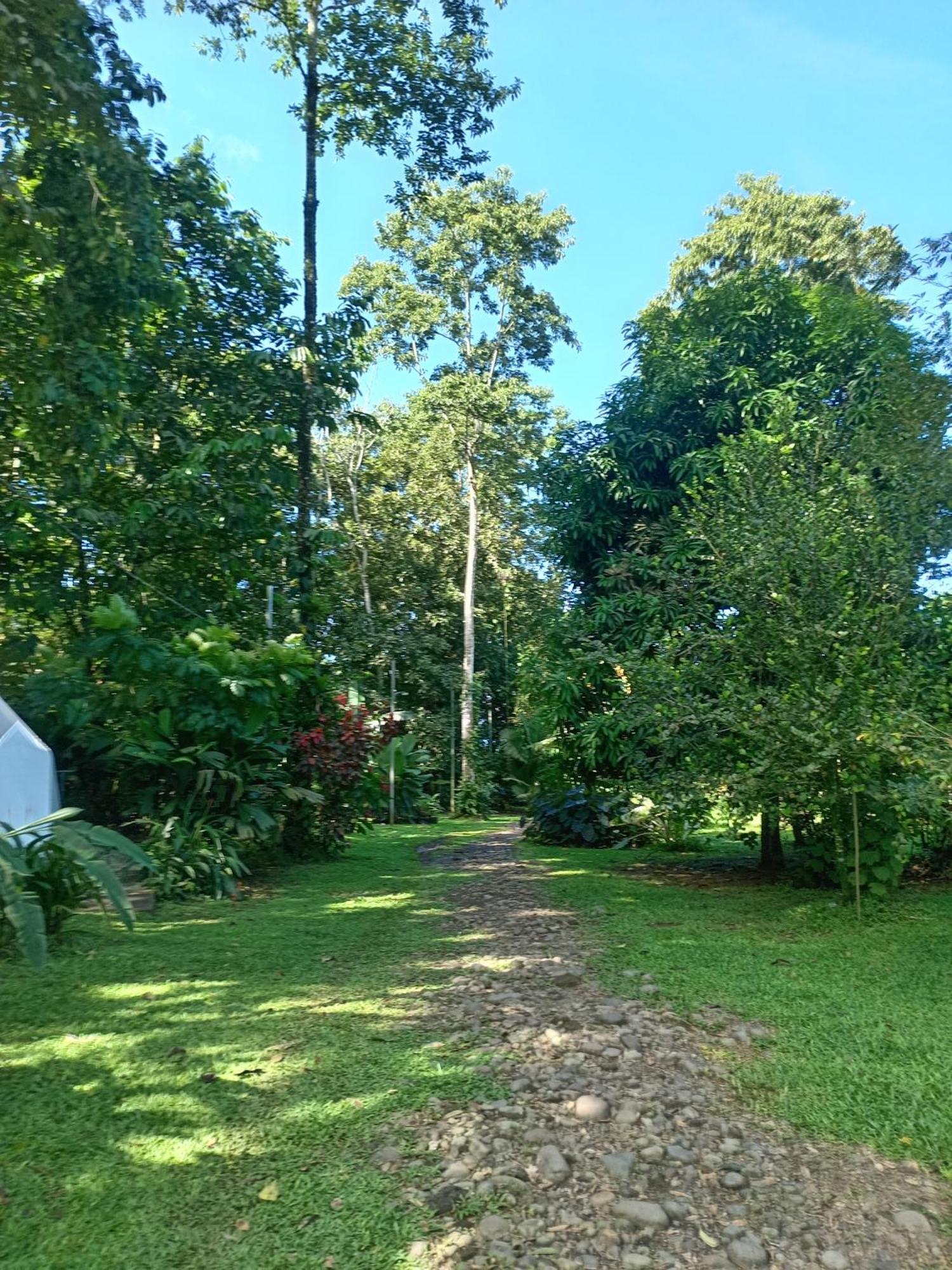 Glamping Naioth Apartamento Guápiles Quarto foto
