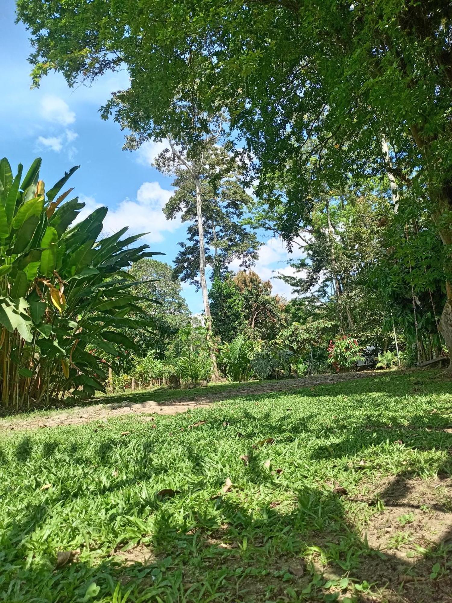 Glamping Naioth Apartamento Guápiles Quarto foto