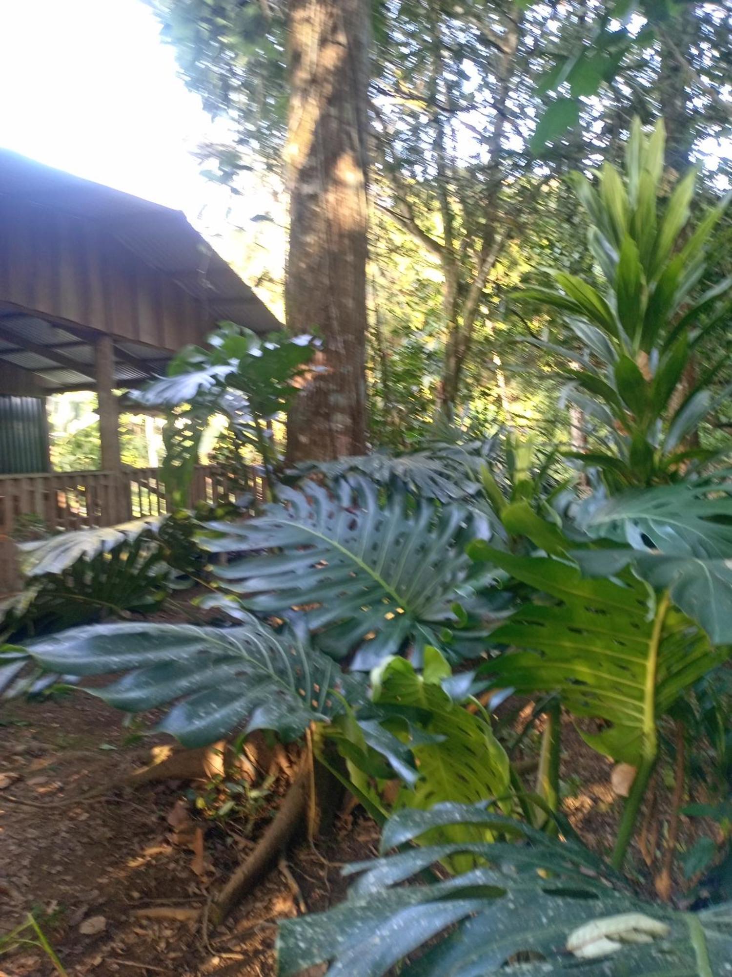 Glamping Naioth Apartamento Guápiles Exterior foto