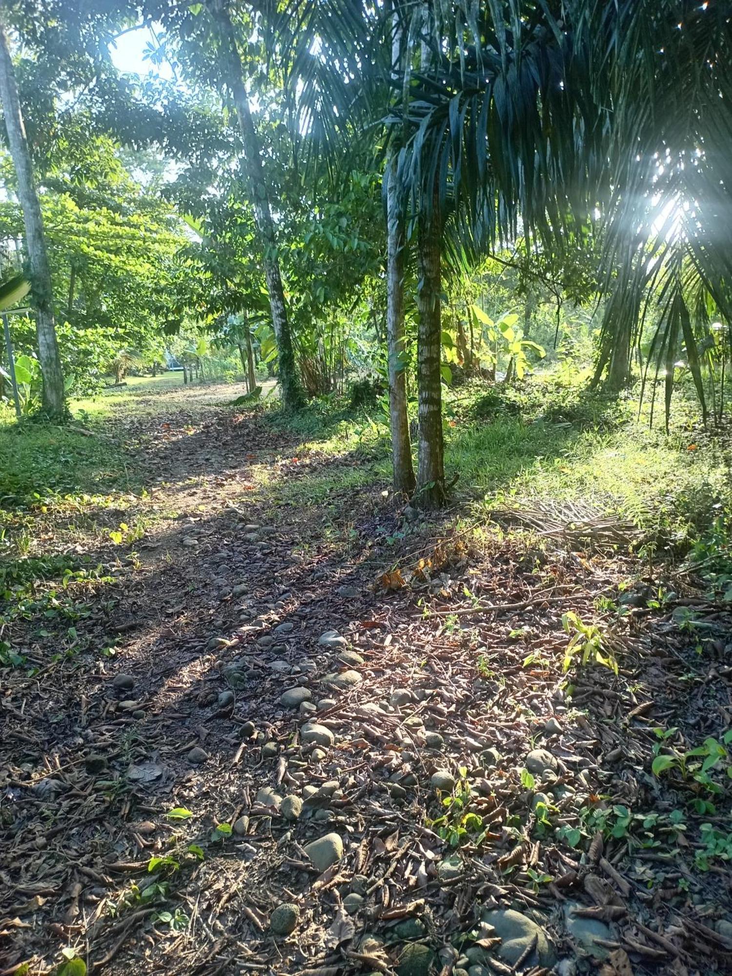 Glamping Naioth Apartamento Guápiles Exterior foto